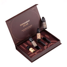 Etalon Mix HAIRSTROKE SET BY ANNA KUTSEVOLOVA (4 x10ml) (Reach) - 2