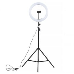 Lampa studyjna Ring Light 210mm 70W (pilot + statyw)