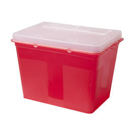 Sharps Container 3L