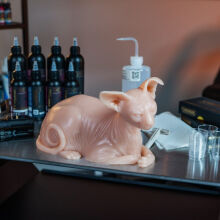 Silikonowy kot do ćwiczeń - 3