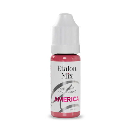 Etalon Mix AMERICA 10ml (Reach)