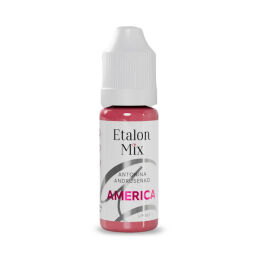 Etalon Mix AMERICA 10ml (Reach)