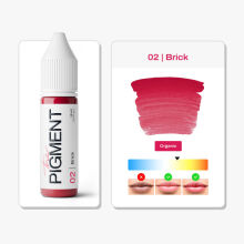 The Pigment - 02 Brick - 15ml - 2