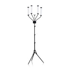 Lampa FOUR LIGHT - 12